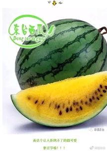 清水镇吃瓜哪集,揭秘神秘事件背后的真相