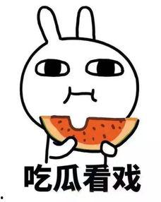 《娱你吃瓜鸭》,揭秘娱乐圈那些不为人知的秘密