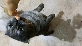 躺着吃瓜怎么回事,揭秘“躺着吃瓜”现象背后的社会文化现象